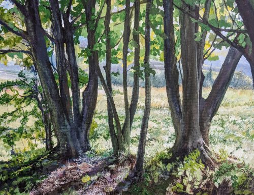 View from Painswick Road